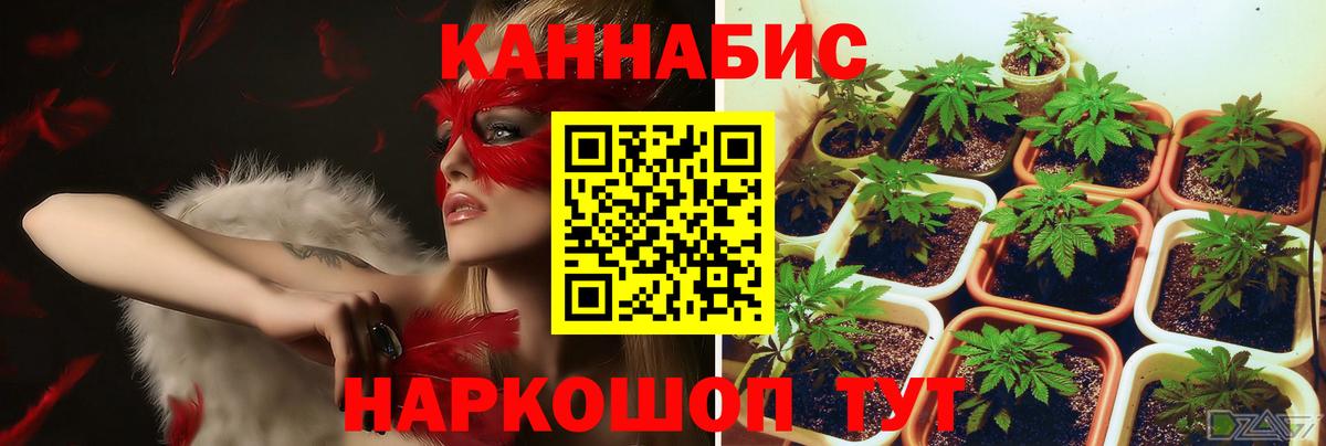 Красноуфимск  Каннабис Bruce Banner  Канабис марихуана  Вход с VPN  Конопля White Widow 